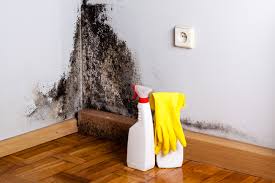 Best Mold Removal for HVAC Installations  in Ashtabula, OH